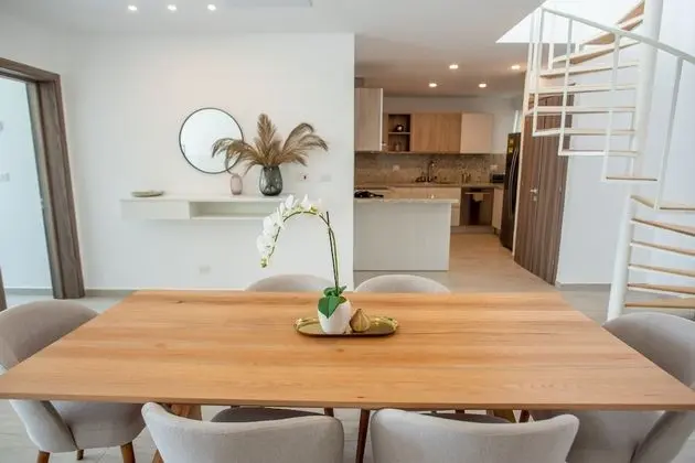 2 BR Apt Rooftop - 307
