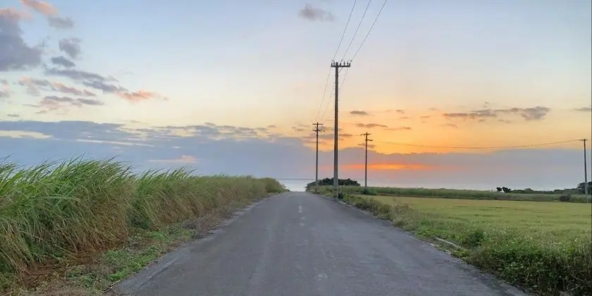 Standard İki Ayrı Yataklı Oda, 2 Yatak Odası, Sigara İçilmez, Denize Bakan