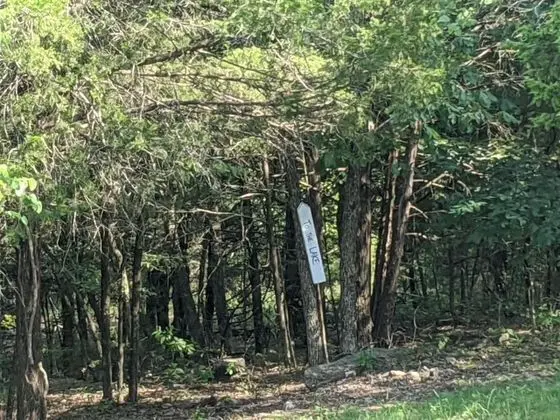 Ev (Canaan Point - LAKESIDE Trail to Lake)