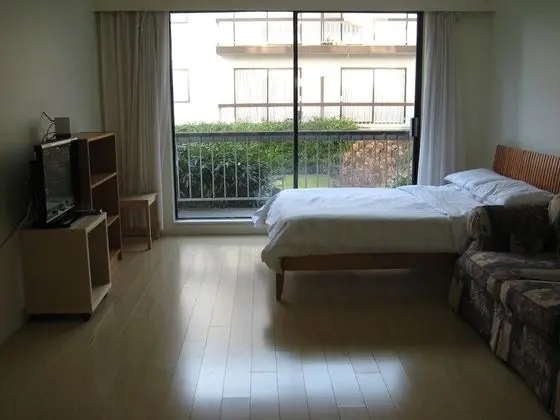 Standard Apart Daire, 1 Yatak Odası