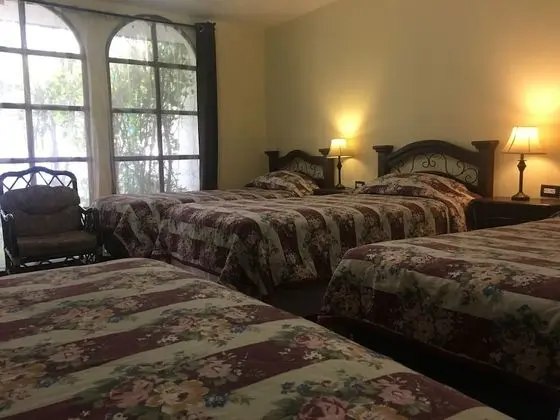 Basic Dört Kişilik Oda, Birden Çok Yatak