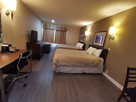 Standard Oda, 2 Büyük (Queen) Boy Yatak, Sigara İçilmez (Pet-Friendly)