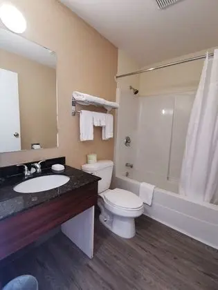 Standard Oda, 2 Büyük (Queen) Boy Yatak, Sigara İçilmez (Pet-Friendly)