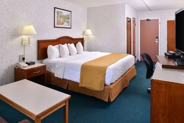 Deluxe Oda, 1 En Büyük (King) Boy Yatak, Sigara İçilmez