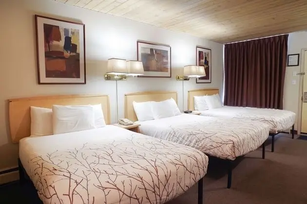 Oda, Birden Çok Yatak, Sigara İçilmez (3 Double Beds)