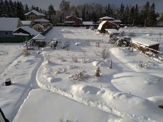 Family Dört Kişilik Oda, Ortak Banyo
