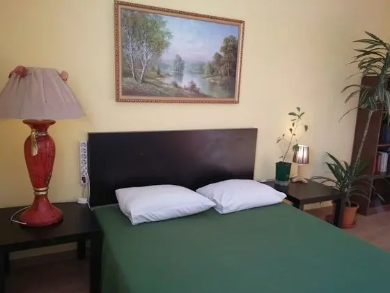 Standard Tek Büyük Yataklı Oda, Ortak Banyo