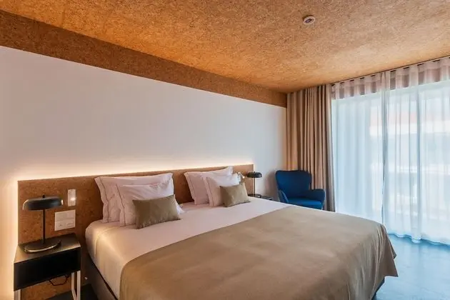 Tek Büyük Yataklı Oda (King Bed)