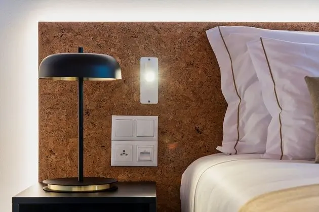 Tek Büyük Yataklı Oda (King Bed)