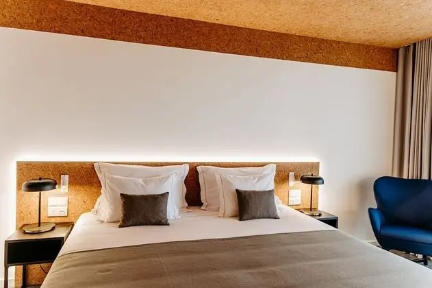 Tek Büyük Yataklı Oda (King Bed)