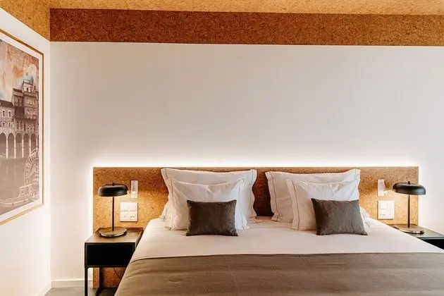 Tek Büyük Yataklı Oda (King Bed)