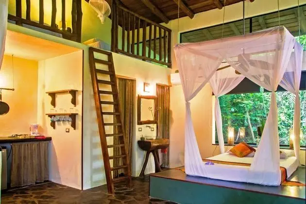 Suite Loft