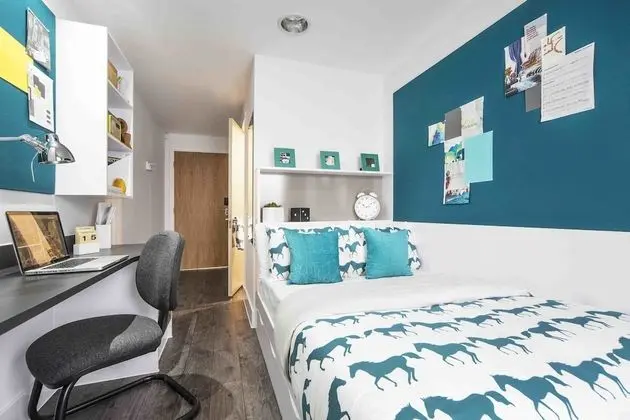 Tek Büyük Yataklı Oda, Banyolu/Duşlu (3/4 Size Small Double Bed)
