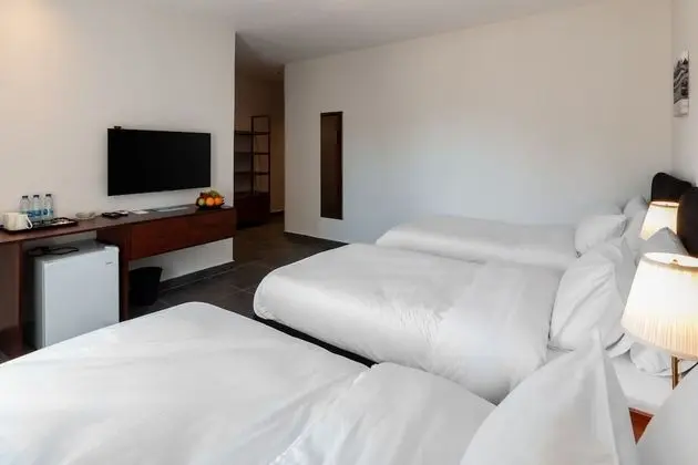 Deluxe Üç Kişilik Oda, 3 Tek Kişilik Yatak, Şehir Manzaralı