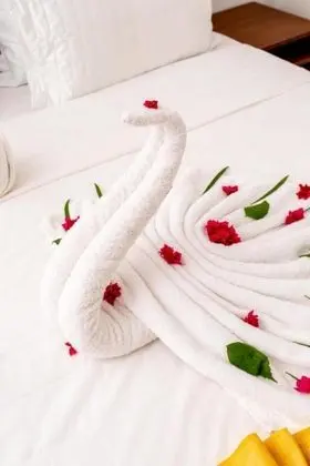 Deluxe Oda, Balkon, Havuz Manzaralı