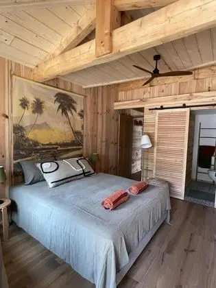 Traditional Tek Büyük Yataklı Oda, Özel Banyo, Bahçe Manzaralı (VillaCanau ch 747)