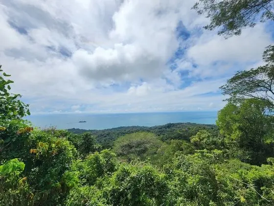 Panoramic Ev
