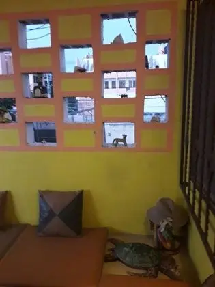 Oda, 1 Yatak Odası, Veranda