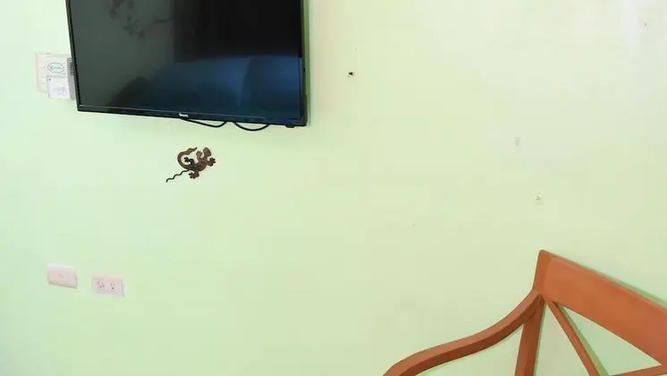 Ortak Ranzalı Oda, 1 Yatak Odası, Veranda