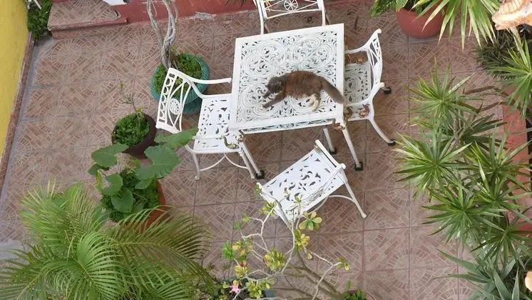 Ortak Ranzalı Oda, 1 Yatak Odası, Veranda