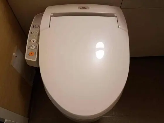 Superior Büyük Yataklı Tek Kişilik Oda, Sigara İçilmez (Sofa)