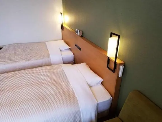 Superior İki Ayrı Yataklı Oda, Sigara İçilmez (Sofa)