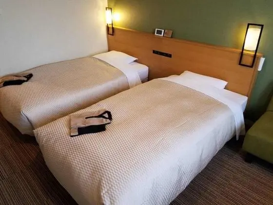 Superior İki Ayrı Yataklı Oda, Sigara İçilmez (Sofa)