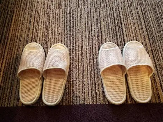 Superior İki Ayrı Yataklı Oda, Sigara İçilmez (Sofa)