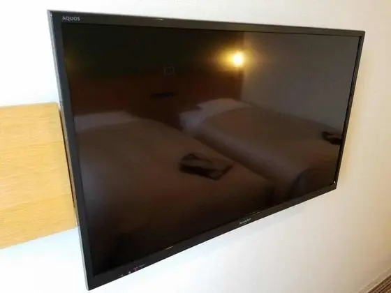 Superior Tek Büyük Yataklı Oda, Sigara İçilmez (Sofa)