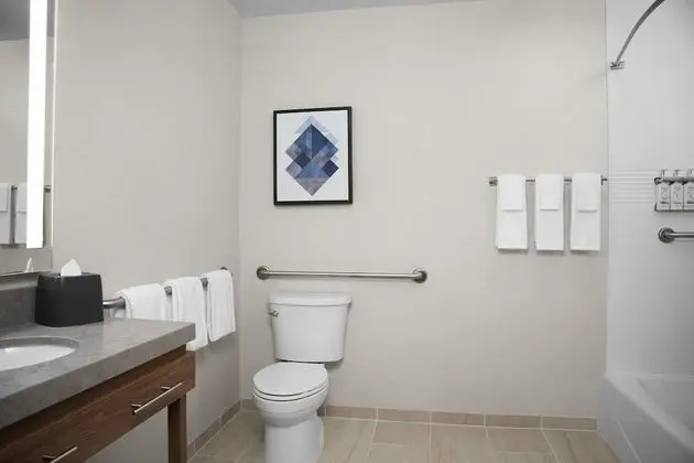 Stüdyo Süit, 1 En Büyük (King) Boy Yatak, Engellilere Uygun (Mobility, Accessible Tub)