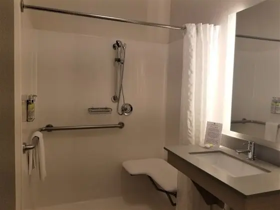 Stüdyo Süit, 2 Çift Kişilik Yatak, Engellilere Uygun (Hearing, Roll-In Shower)
