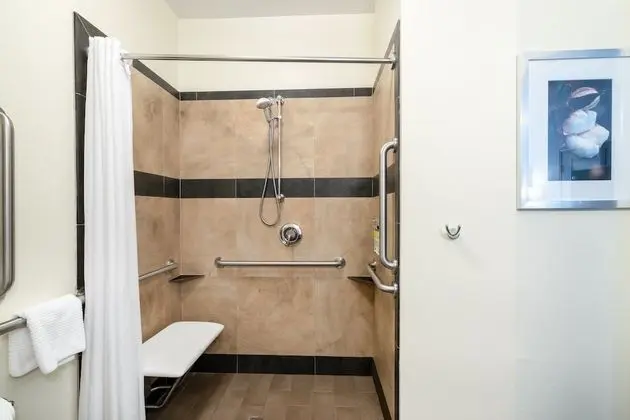 Stüdyo Süit, 1 En Büyük (King) Boy Yatak, Engellilere Uygun (Accessible Shower)