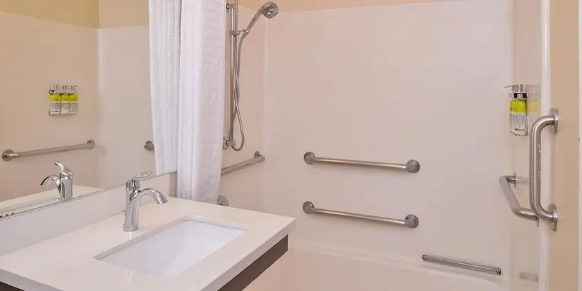 Stüdyo Süit, 2 Çift Kişilik Yatak (Roll-In Shower)