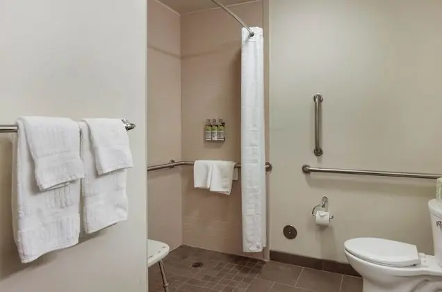 Stüdyo Süit, 1 Büyük (Queen) Boy Yatak, Engellilere Uygun (Mobility, Roll-In Shower)