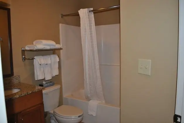 Stüdyo Süit, 2 Çift Kişilik Yatak, Sigara İçilmez (Roll-In Shower)