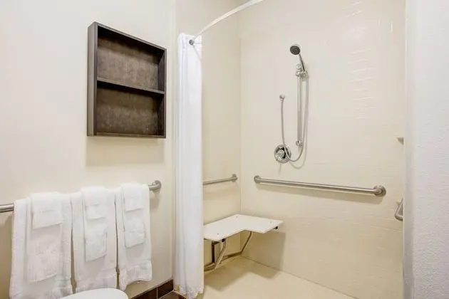 Stüdyo Süit, 1 Büyük (Queen) Boy Yatak, Engellilere Uygun (Hearing, Roll-In Shower)