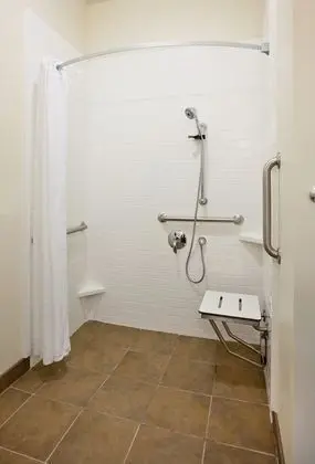 Stüdyo Süit, 1 Büyük (Queen) Boy Yatak, Engellilere Uygun (Roll-In Shower)