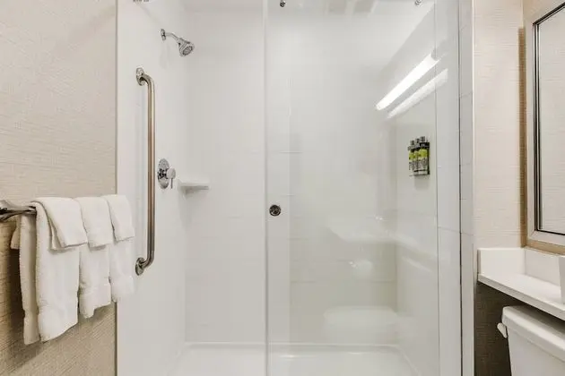 Stüdyo Süit, 1 Büyük (Queen) Boy Yatak (Walk-In Shower)
