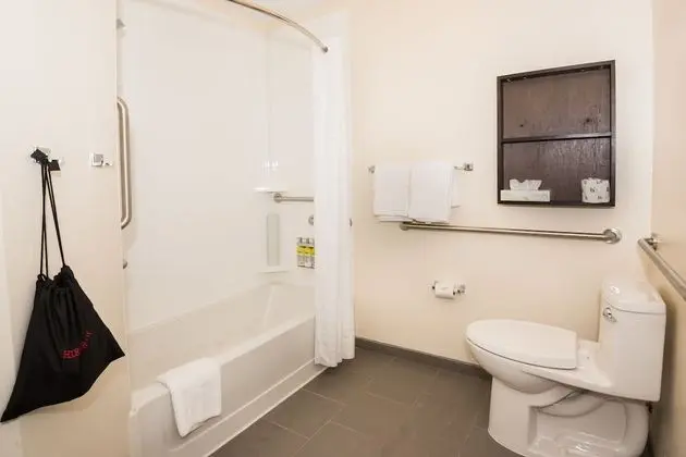 Stüdyo Süit, 2 Büyük (Queen) Boy Yatak, Engellilere Uygun (Mobility, Accessible Tub)