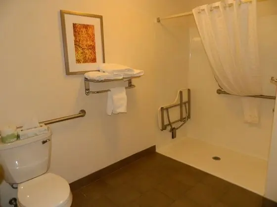 Stüdyo Süit, 1 Büyük (Queen) Boy Yatak, Engellilere Uygun (Mobility Roll-In Shower)