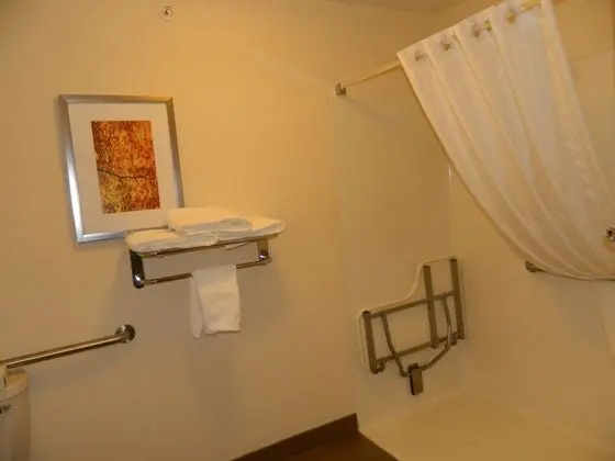 Stüdyo Süit, 1 Büyük (Queen) Boy Yatak, Engellilere Uygun (Mobility Roll-In Shower)