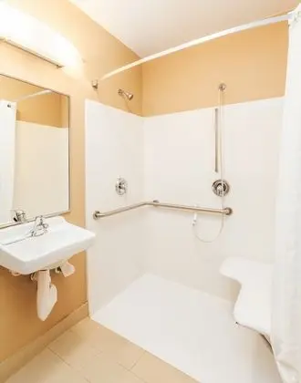 Stüdyo Süit, 1 Büyük (Queen) Boy Yatak, Engellilere Uygun (Mobility Roll-In Shower)