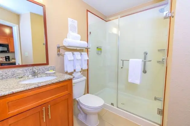 Stüdyo Süit, 1 En Büyük (King) Boy Yatak, Engellilere Uygun (Mobility Roll-In Shower)
