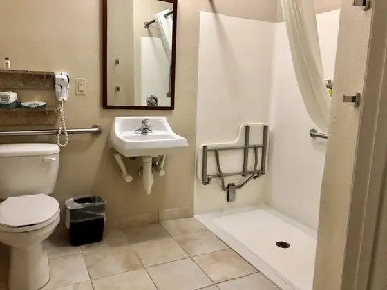 Süit, 1 Yatak Odası, Engellilere Uygun (Roll-In Shower)