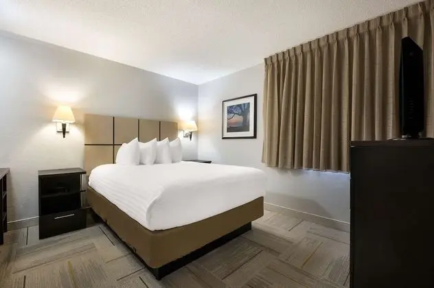 Süit, 1 Büyük (Queen) Boy Yatak ve Çekyat (One Bedroom)