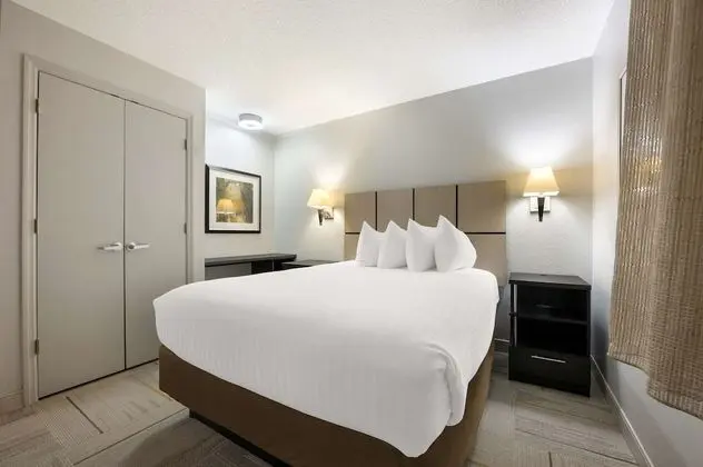 Süit, 1 Büyük (Queen) Boy Yatak ve Çekyat (One Bedroom)