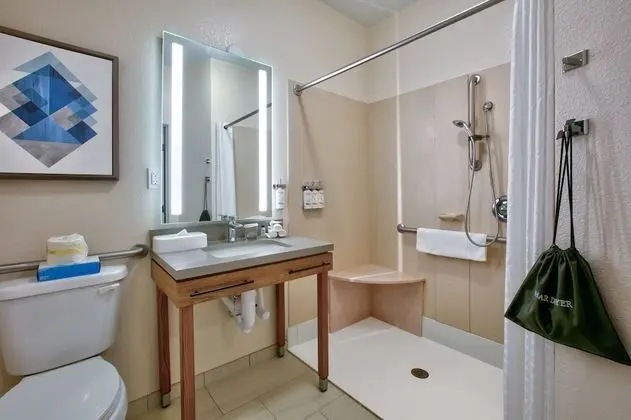 Stüdyo Süit, 1 Büyük (Queen) Boy Yatak, Engellilere Uygun (Communication, Roll-In Shower)