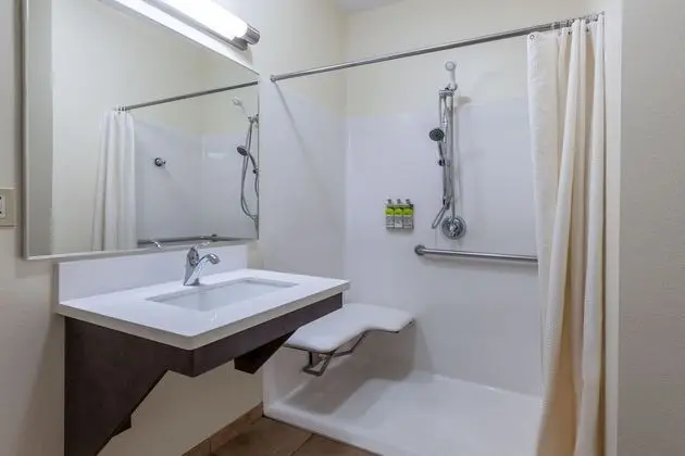 Stüdyo Süit, 1 En Büyük (King) Boy Yatak, Engellilere Uygun (Roll-In Shower)