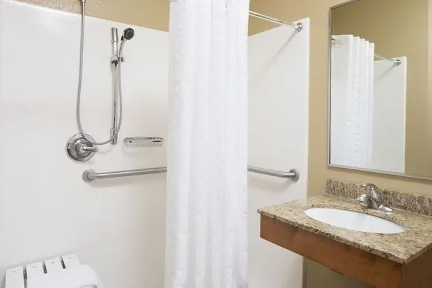 Süit, 1 Yatak Odası, Engellilere Uygun (Mobility Roll-In Shower)