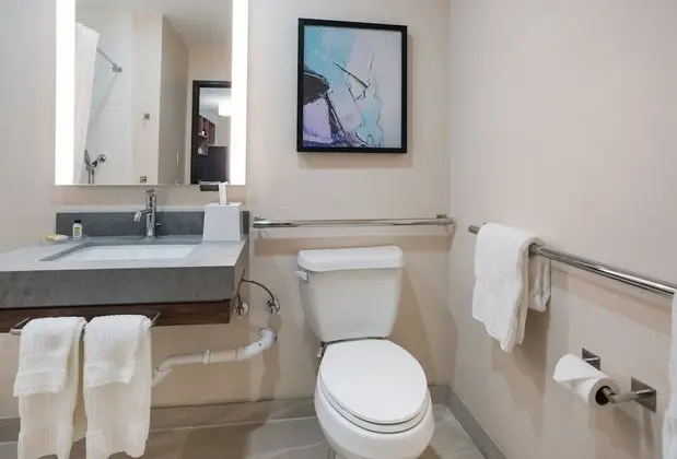Süit, 1 Yatak Odası, Engellilere Uygun (Mobility, Accessible Tub)